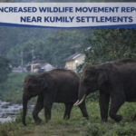 chatgpt image dec 23, 2025, 11 29 31 am