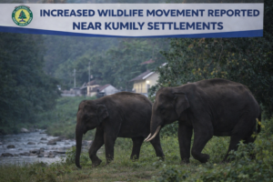 chatgpt image dec 23, 2025, 11 29 31 am