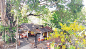 screenshot 2025 12 23 100251