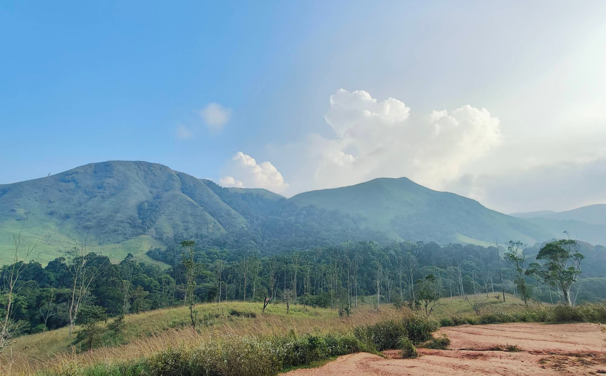Exciting Jungle Jeep Safari